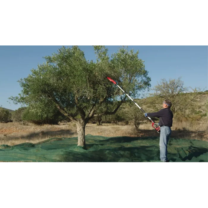 Einhell GE-FS 18/53 Li-Solo Akülü Zeytin Hasat Makinesi