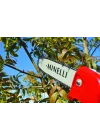 Minelli ENERQ7.20 Akülü Yüksek Dal Budama Testeresi