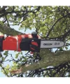 Einhell GE-LC 18 Li T-Solo Akülü Yüksek Dal Budama Testeresi
