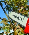 Minelli ENERQ7.20 Akülü Yüksek Dal Budama Testeresi