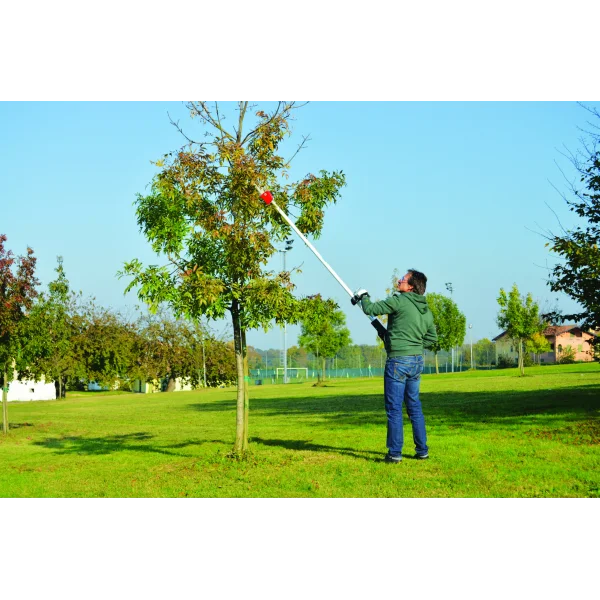 Minelli ENERQ7.20 Akülü Yüksek Dal Budama Testeresi