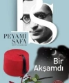 Bir Akşamdı