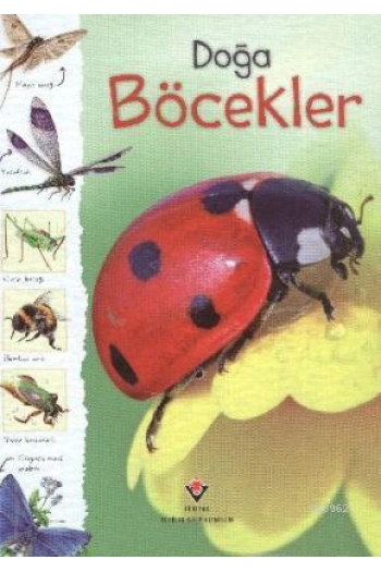 Doğa - Böcekler