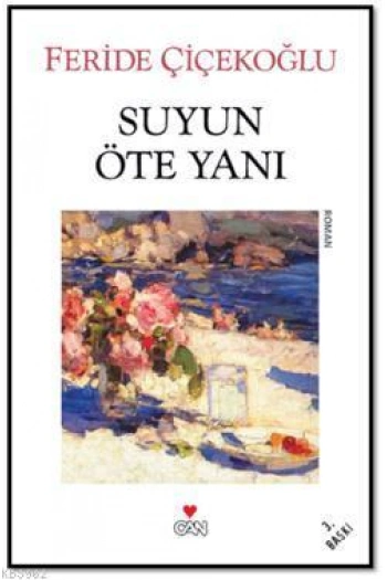 Suyun Öte Yanı