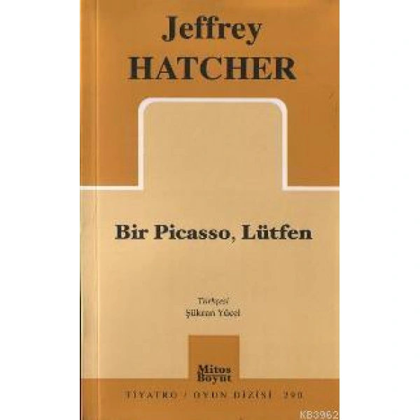 Bir Pıcasso, Lütfen