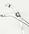 Verbrugge Bone forceps 17.5 cm (Kemik Tutucu)