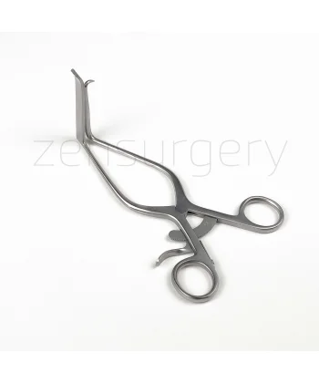 William Ekartörü Sağ