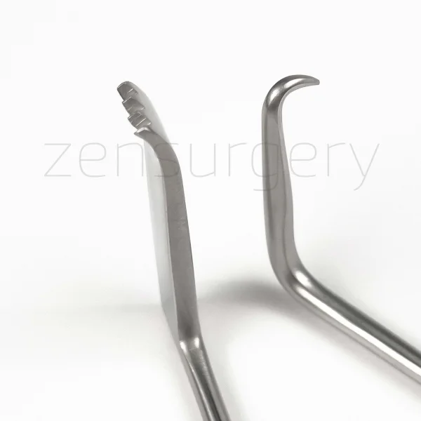 William Ekartörü Sağ