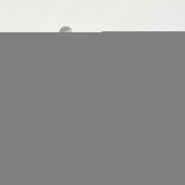 Goldman Fox Periost Elevator Çift Taraflı Fig GF