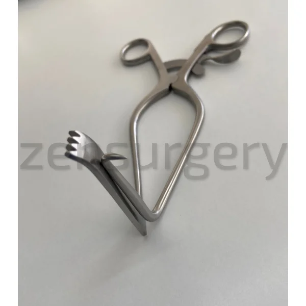 William Ekartörü Sol