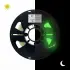 Elas Pla Plus Filament Yeşil Glow 1.75mm 1kg