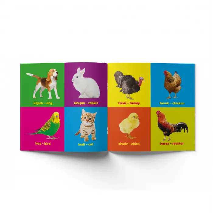 Yırtılmayan Kitap Seti - İlk Kelimelerim