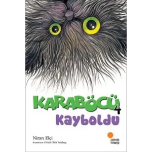 Karaböcü 4 Kayboldu