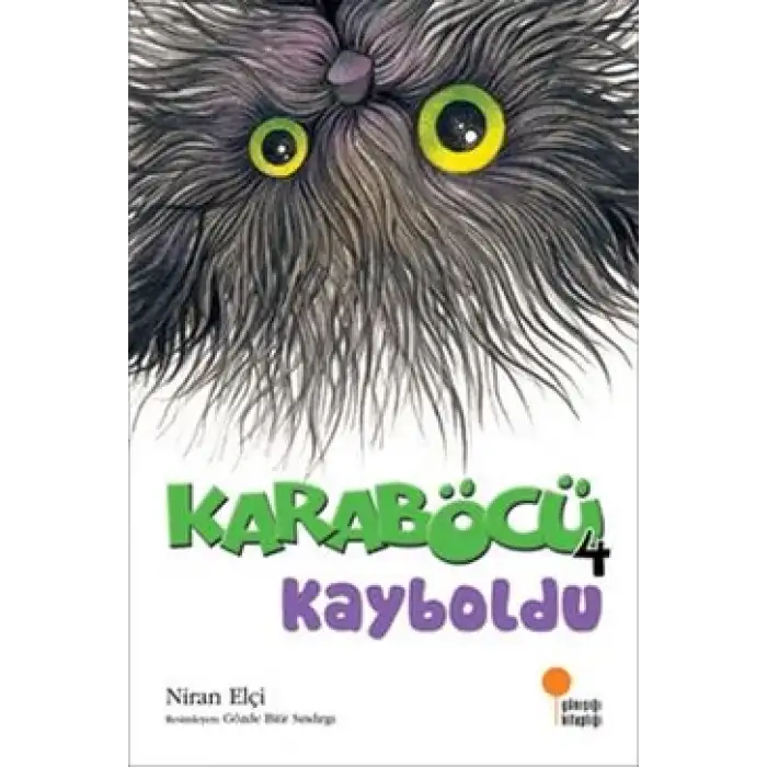 Karaböcü 4 Kayboldu
