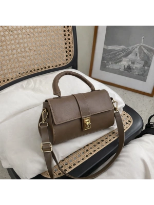 Koyu Vizon Renk YENİ Çanta SARE2025