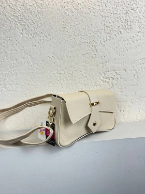 Krem Renk Tokalı Çanta CB65446