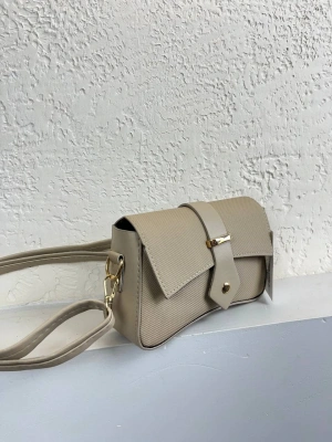 Vizon Renk Tokalı Çanta CB65446