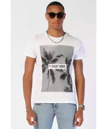 Erkek Slim Fit Tshirt