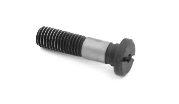 Brother 916 Seri Düğme Makine Balata Vidası /S05725001