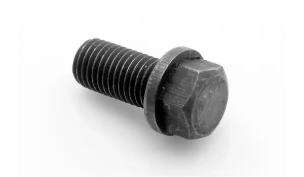 Pegasus Overlok Makine Alt Lüper Kütük Vidası /155400-010