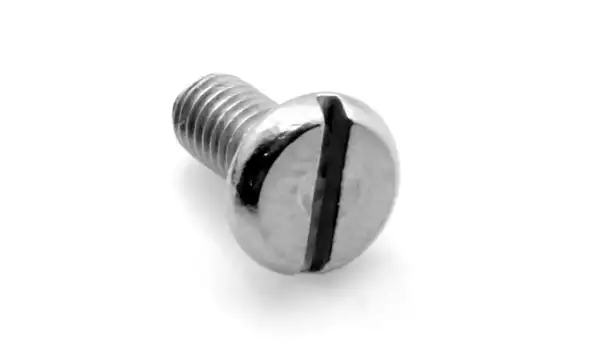 Pegasus Overlok Plaka Vidası /004009