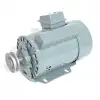 İlik Düğme Makine Motoru 250W 1425R Devir / YL4824