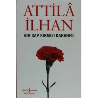 Bir Sap Kırmızı Karanfil Cumhuriyet Söyleşileri (Eylül 96 - Mart 97)