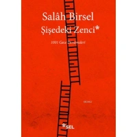 Şişedeki Zenci; 1001 Gece Denemeleri