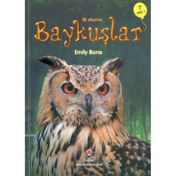 Baykuşlar