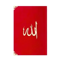 Hayrat Cep Tipi Süet Mealli Yasin Lafzatullah Kırmızı 3412 Rmzn