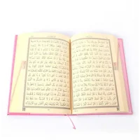 Hayrat Yayınları Rahle Boy Kuranı Kerim 2 Renkli Mühürlü Pembe Rmzn