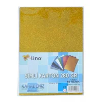 Lino Simli Karton 20*30 Cm 250 Gr 10lu Karışık Renk Rbp-301