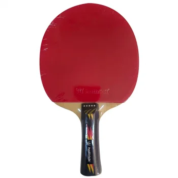 Altis Masa Tenis Raketi Mt-500 Tsts