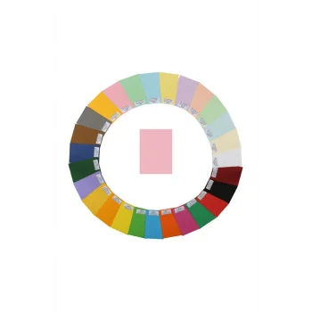 Alex Schoeller Fon Kartonu 50x70 Cm Kolej 160 Gr Kahve 17 100lü 1017