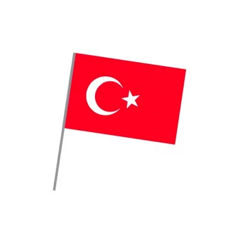 Eren Sopalı Türk Bayrak Büyük  100li Paket Xzy