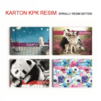 Gıpta 35x50 Spiralli Resim Defteri 15 Yaprak 1459