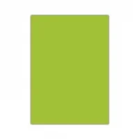 Alex Schoeller Fon Kartonu 50x70 Cm Kolej 120 Gr 100lü Açık Yeşil Alx-1309 013.09