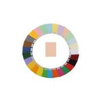 Alex Schoeller Fon Kartonu 50x70 Cm Kolej 160 Gr Somon 05 100lü 1005