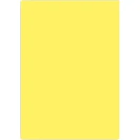 Alex Schoeller Fon Kartonu 50x70 Cm Kolej 160 Gr Açık Altın 100lü 1011