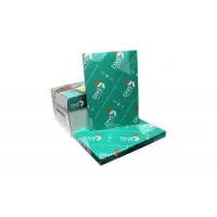 Dns Color Print A3 Fotokopi Kağıdı 200 Gram 250li