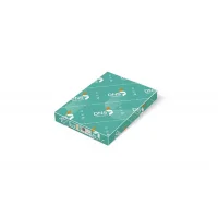 Dns Color Print A4 Fotokopi Kağıdı 250 Gram 200lü Ne1020