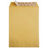 Doğan Torba Zarf 24*32 Formula Silikonlu 100 Gram 100lü As-0854