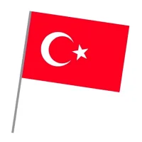 Eren Sopalı Türk Bayrak Küçük 200 Lü Paket Xzy