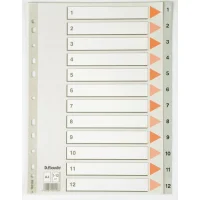 Esselte Seperatör 1-12 - 100106