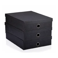 Gıpta Blista Black Dosya Kutusu 4-org7396-2161