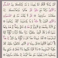 Hayrat Orta Kadife Nakışlı Kuranı Kerim Siyah