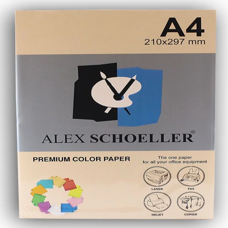 Alex Schoeller Fotokopi Kağıdı A4 500lü Somon Alx-550