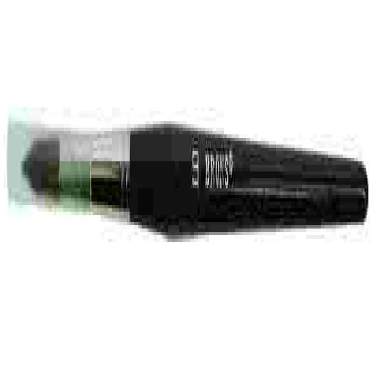 Brons Suluboya Fırçası No:10 Br-241