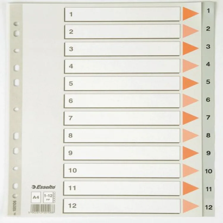 Esselte Seperatör 1-12 - 100106