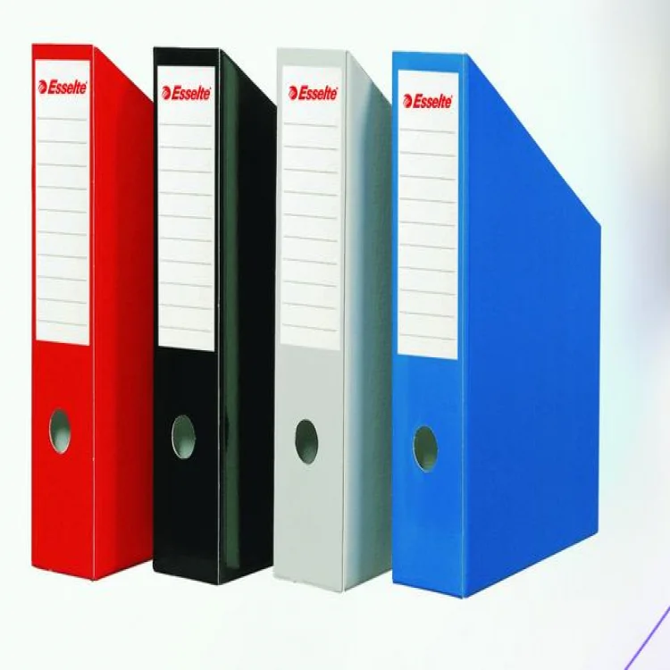 Esselte Slt-5276 Karton Magazinlik